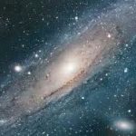 cosmos