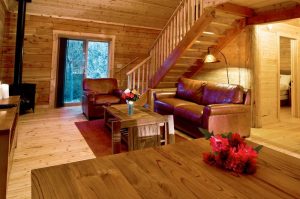 cabin-livingroom_0