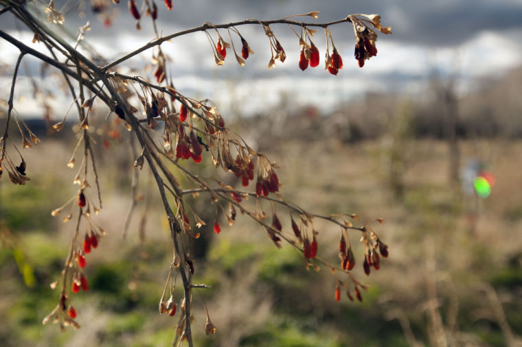 Taos Full Moon Weekend Yoga Retreat
