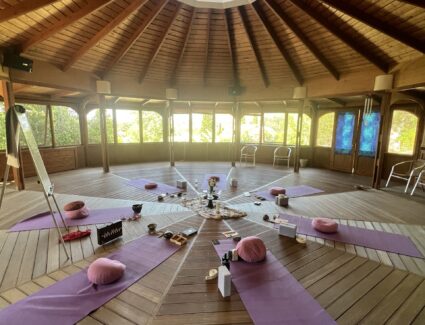 Greece Yoga Retreat, Spiritual Immersion, Teacher Training, Karma Yoga Center