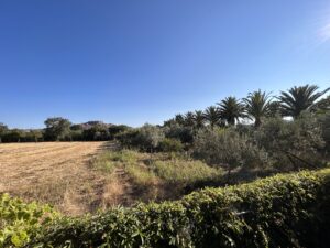 Greece Yoga Retreat, Spiritual Immersion, Teacher Training, Karma Yoga Center