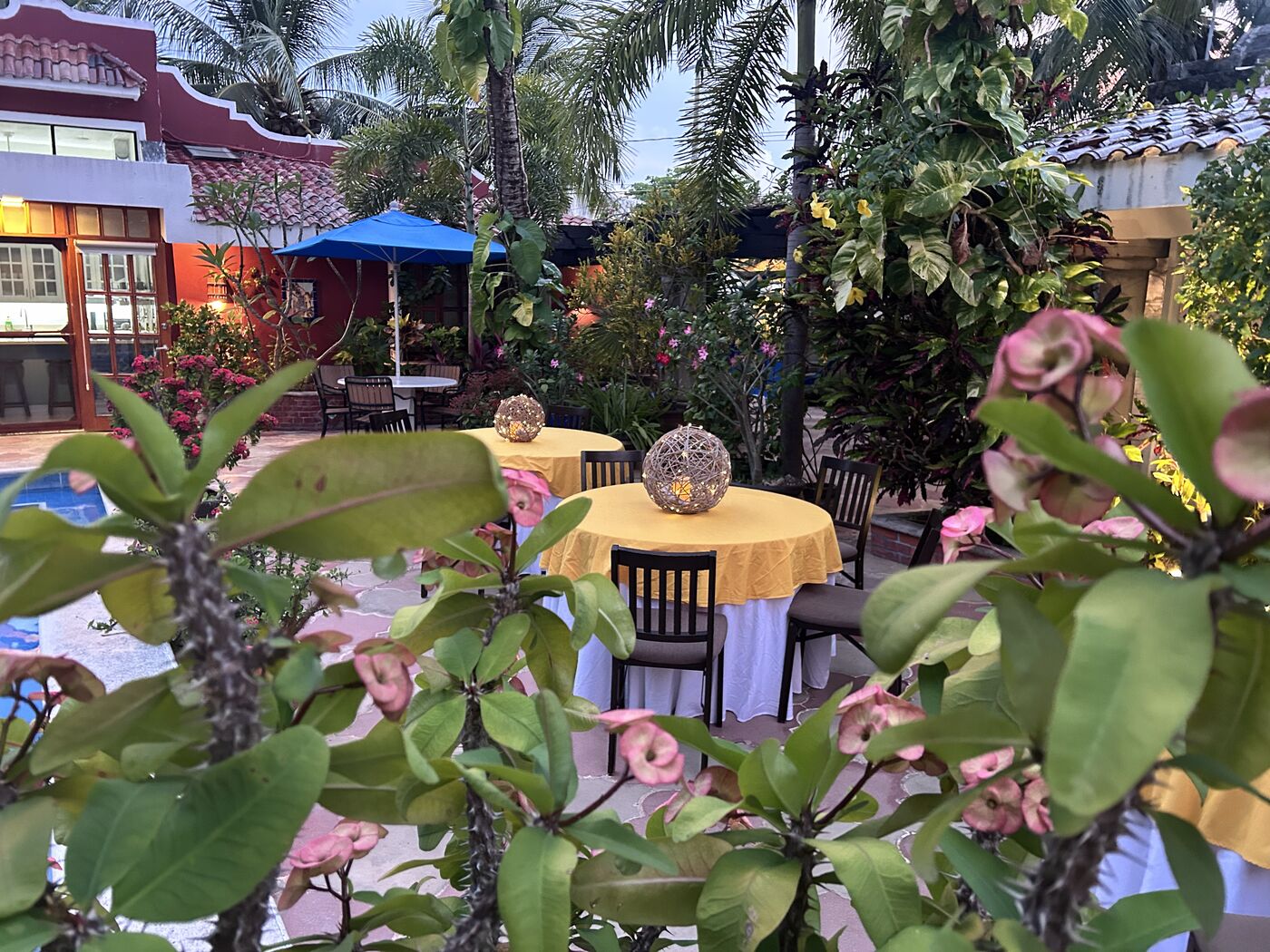 Tropical gardens at the private villa in Puerto Morelos