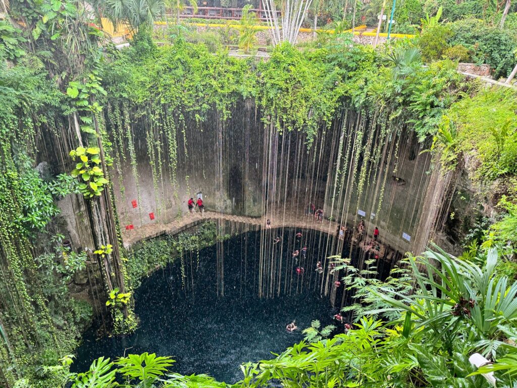 Cenote surrounded by hanging vines in the Yucatan, Mexico