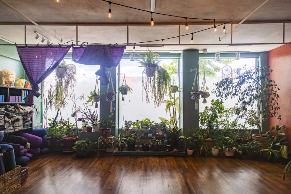 Window garden of plants in the main studio at Karma Yoga Center